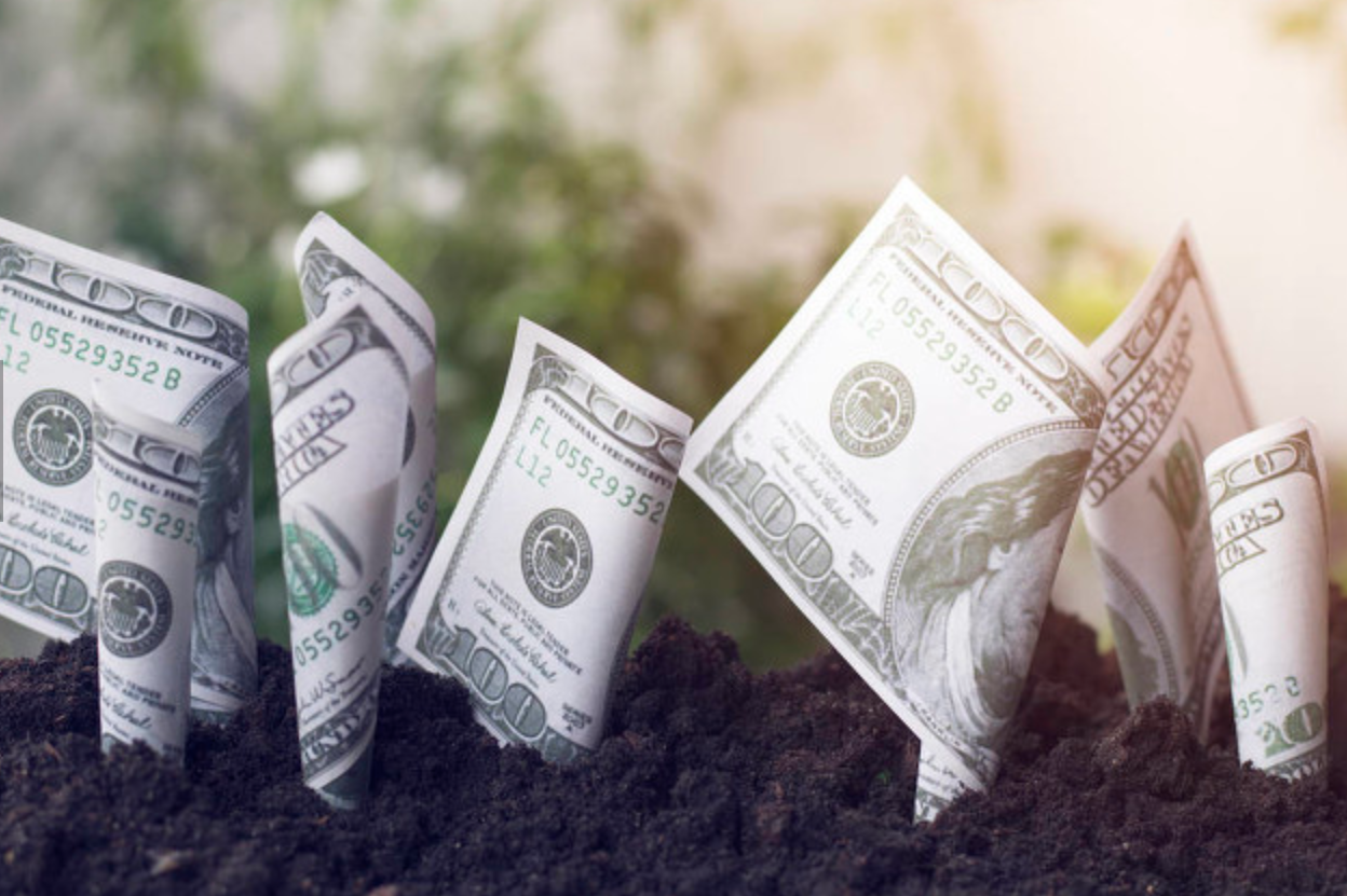 “补血”进行时！今年险企发债规模超700亿元