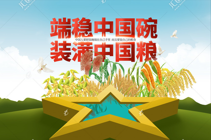 我国粮食应急保障体系进一步健全