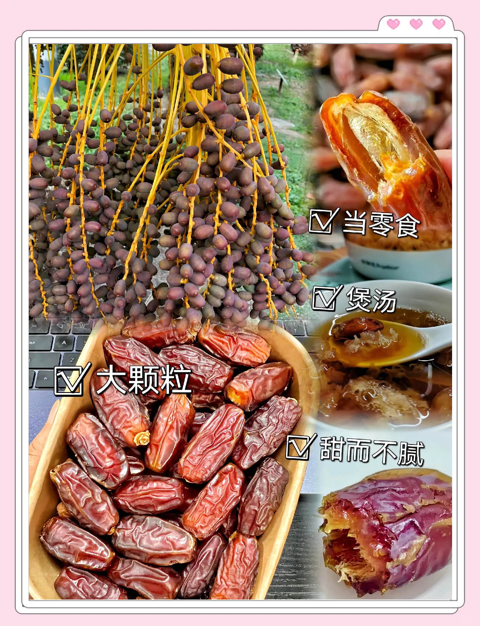 阿尔及利亚成功将本国椰枣特色纳入国际标准