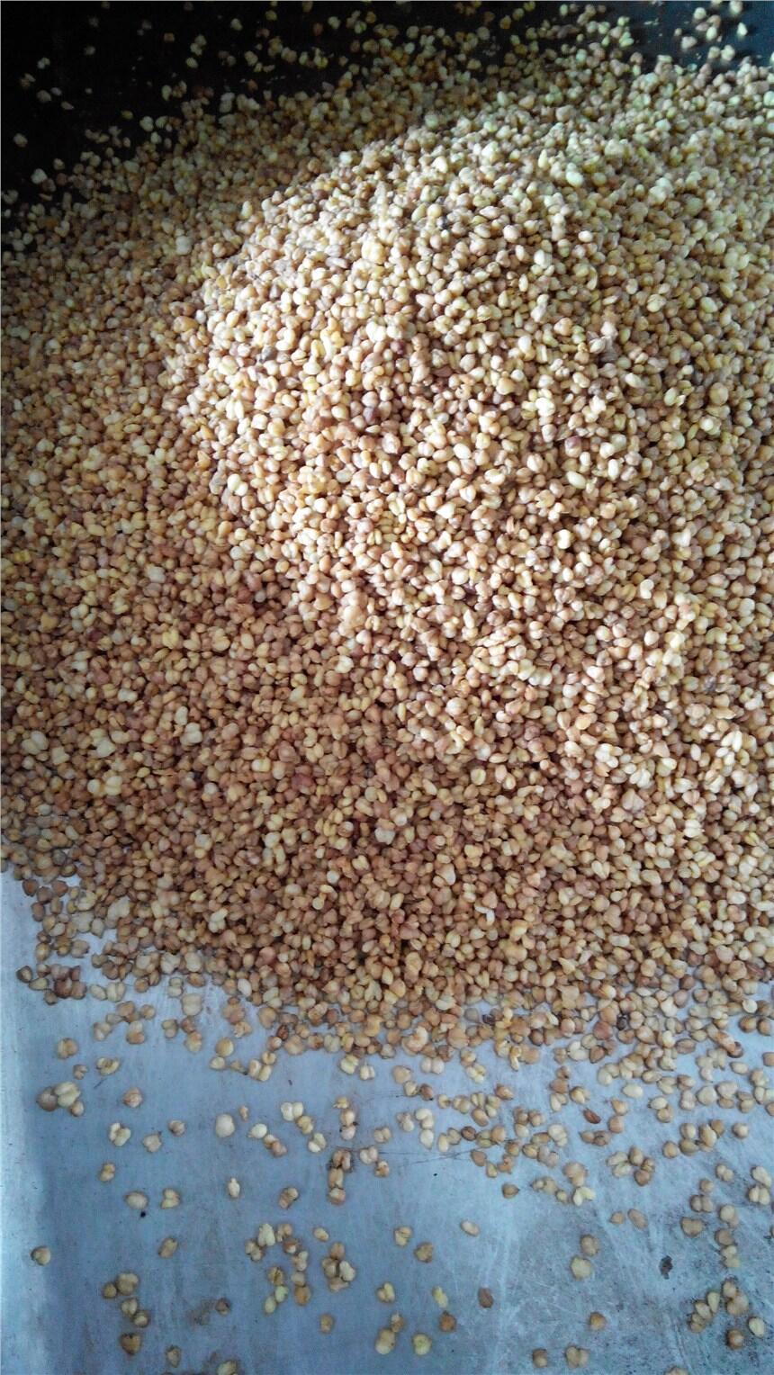 “24润药Y2”将于12月11日付息