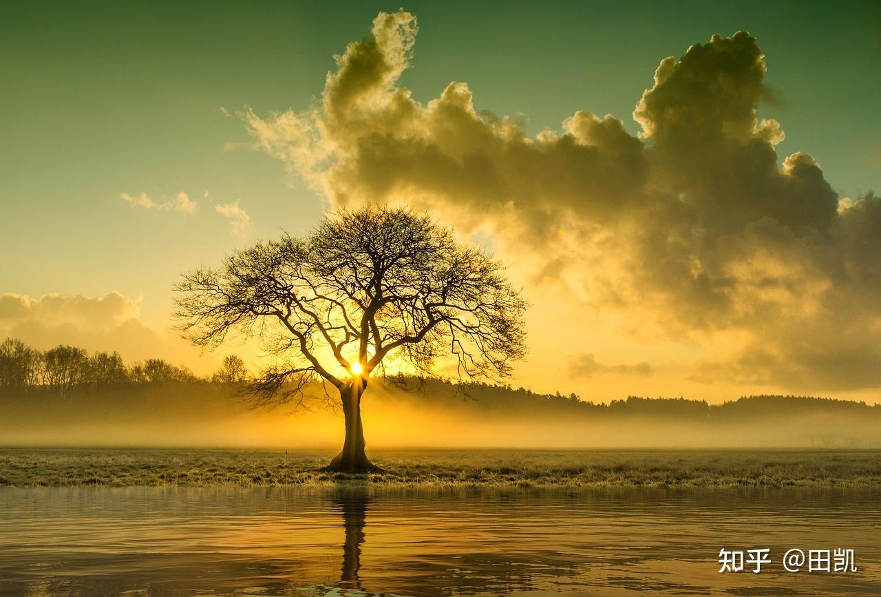 心理咨询师收费高受热议，现存相关企业超13.5万家