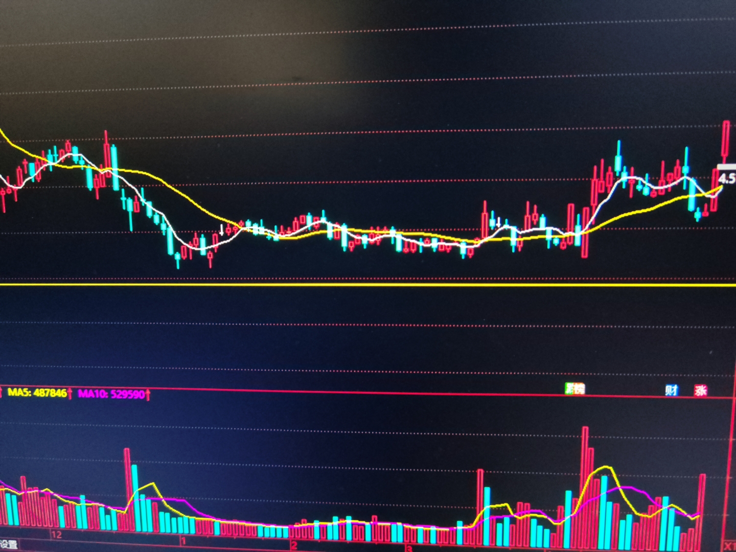 国债期货早盘收盘全线上涨