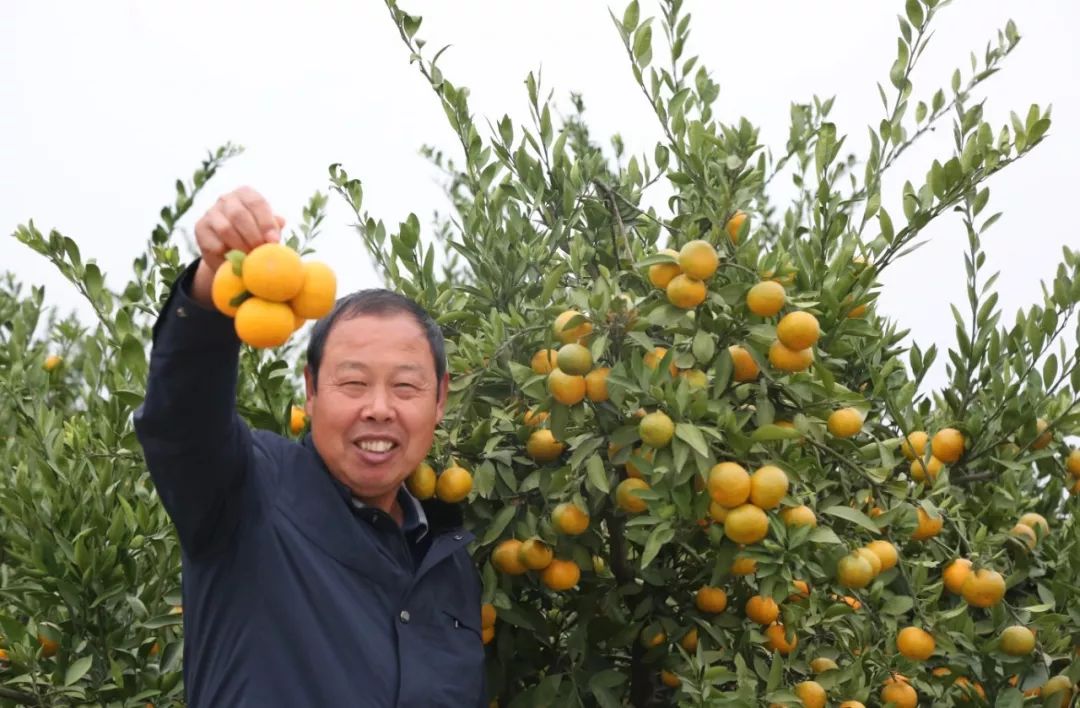 物产环能：成功发行5.3亿元绿色资产支持专项计划 市场反响热烈