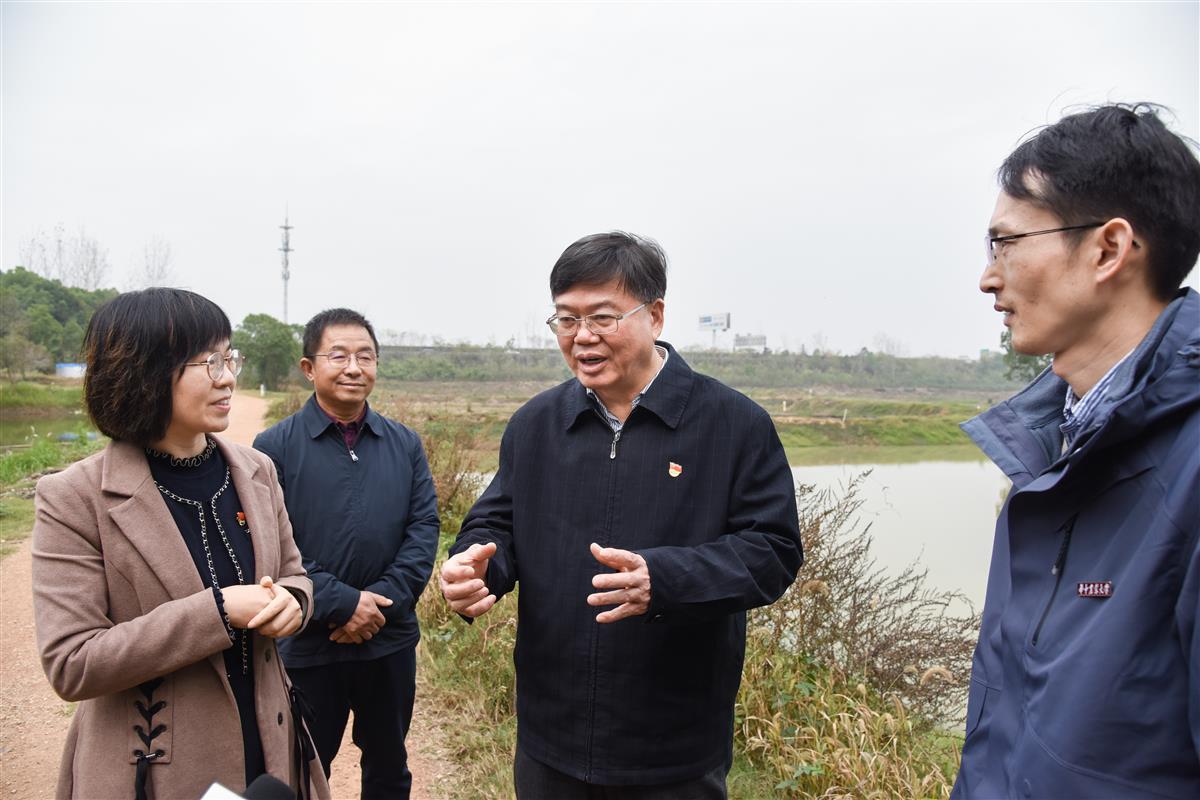 我国科研团队培育出“无肌间刺”银鲫