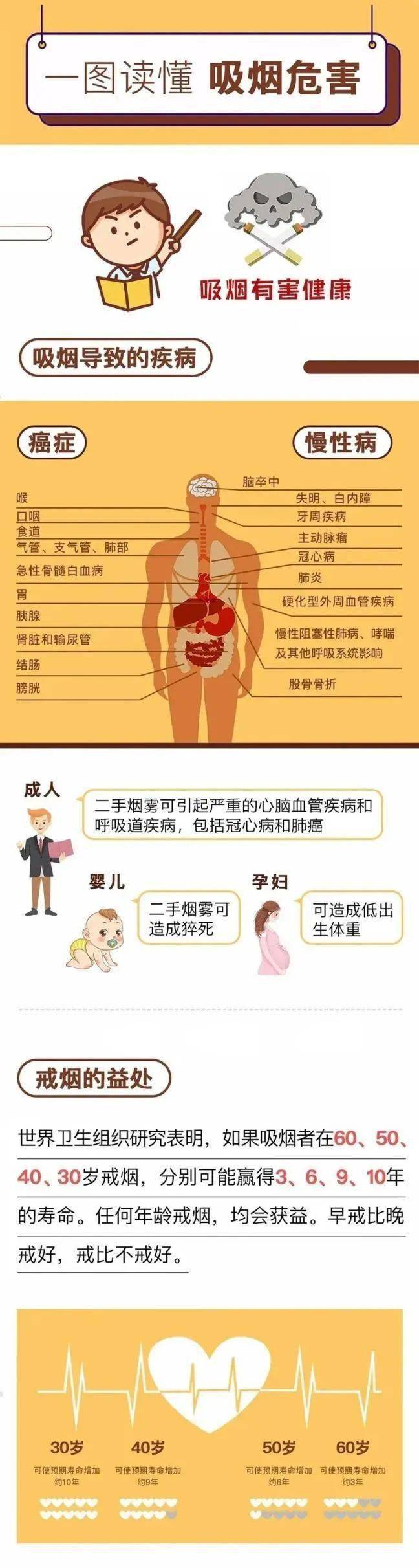 新研究：所有现代尼古丁产品均可致血管损伤