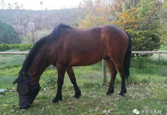 马11 月份税收达22亿卢菲亚，比去年同期增长16.6%