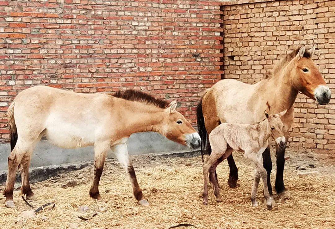 马11 月份税收达22亿卢菲亚，比去年同期增长16.6%