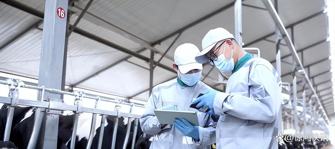 新西兰进口纯牛奶亮相进博会 可感知高品质探寻荟（上海站）成功举办