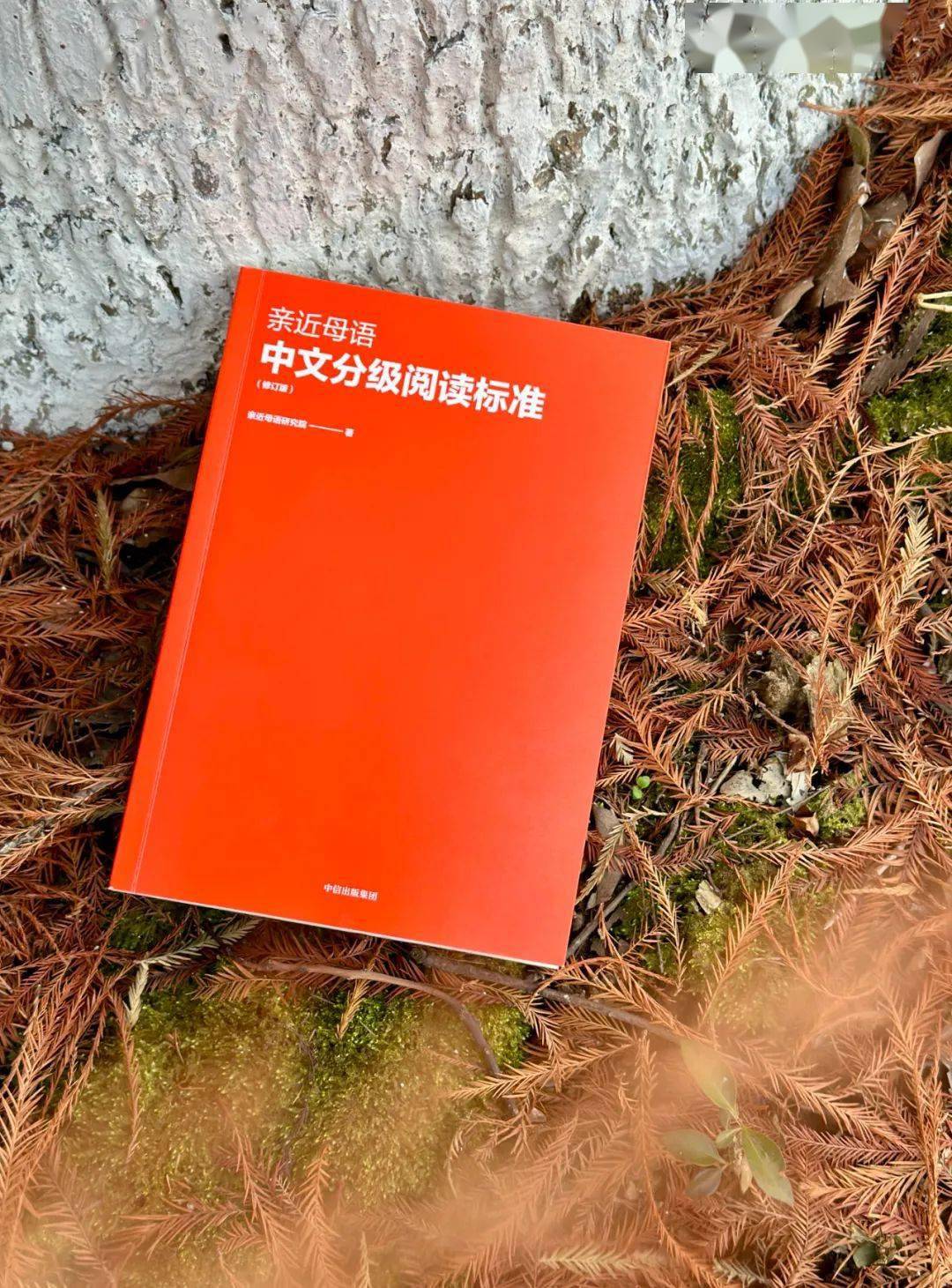 柬国家标准委员会通过了60项新的和修订的标准