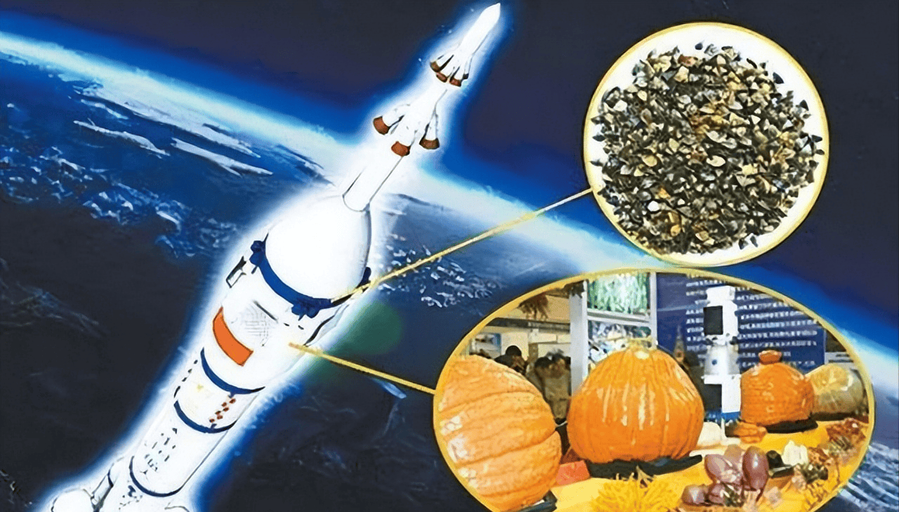 神农种业：庆油系列油菜种子登陆太空参与育种实验