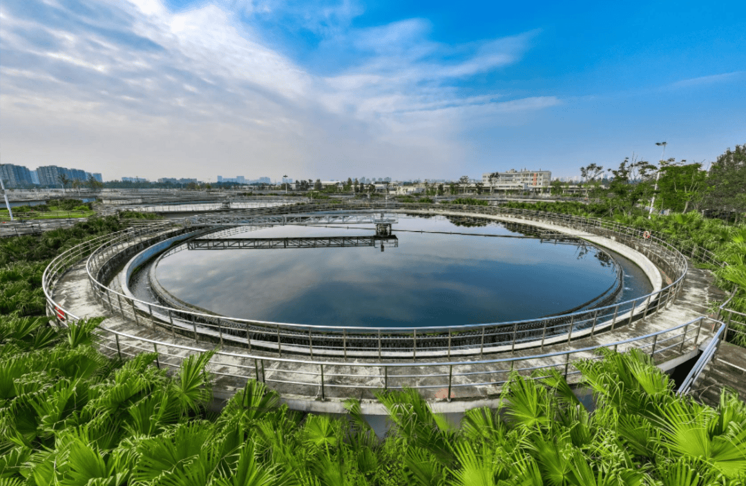 天健集团：持续完善公司治理，培育核心竞争力