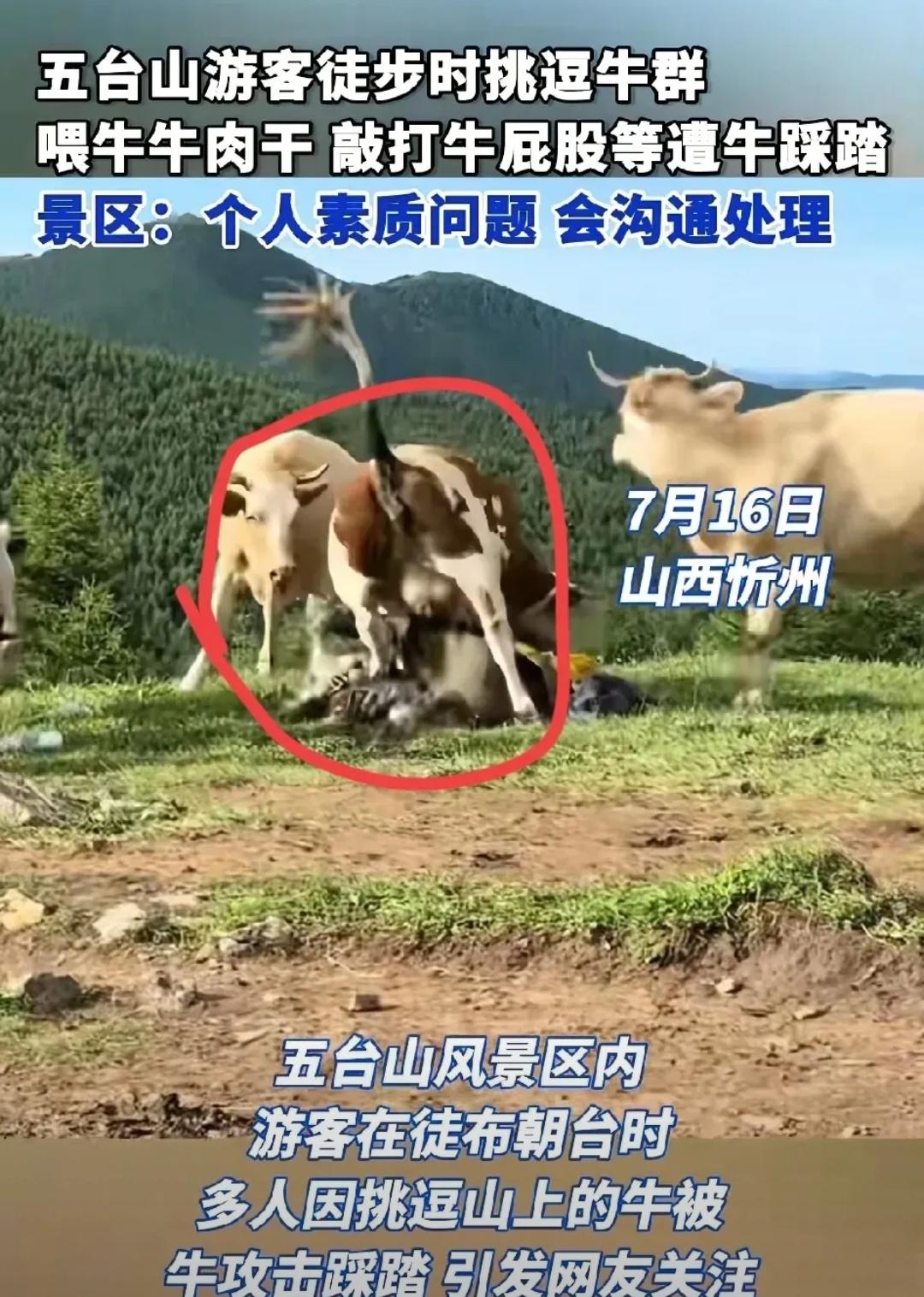 罗 牛 山：公司始终坚持规范治理与透明运营