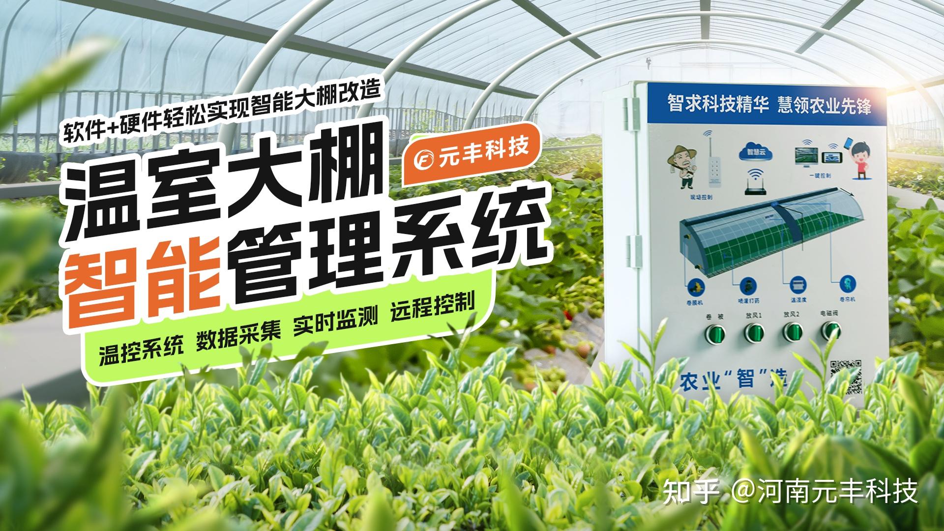 温室农业成为利比里亚应对气候危机与粮食安全的关键希望