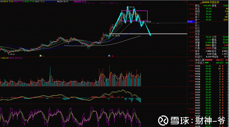安图生物(603658.SH)：全资子公司及二级子公司通过高新技术企业认定