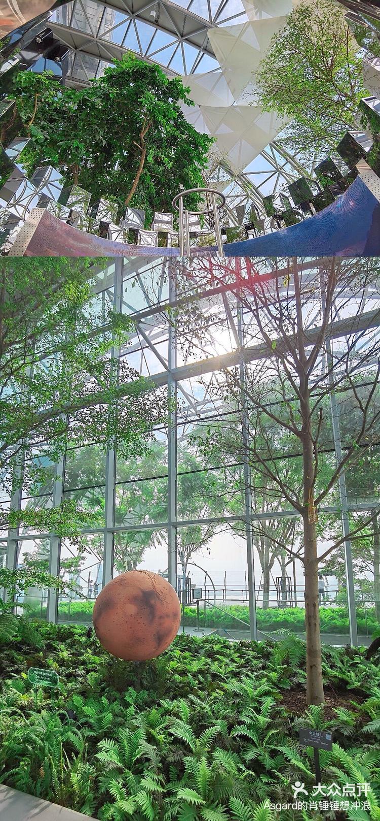 太空旅游离大众还有多远？