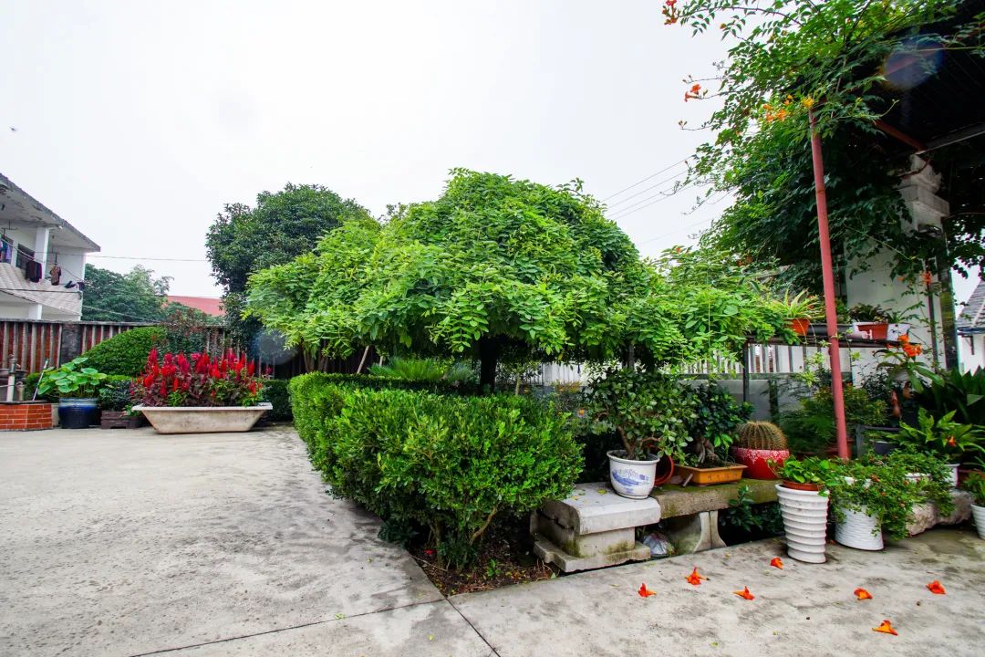 沪澳携手搭建绿色资本桥梁 离岸绿色债券直通车正式上线