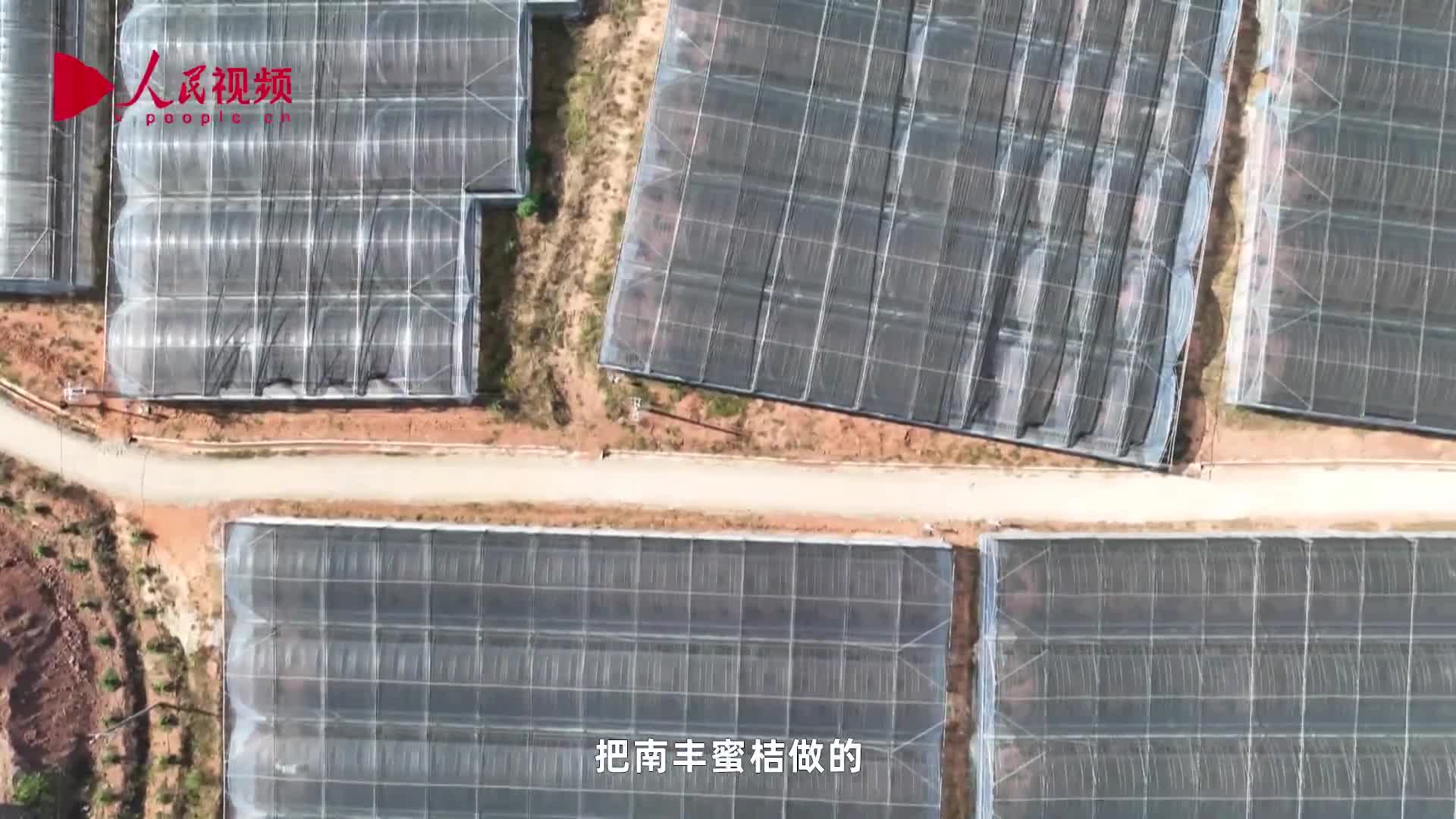 新春走基层 · 一线直击丨机器人成为育种“新农人”