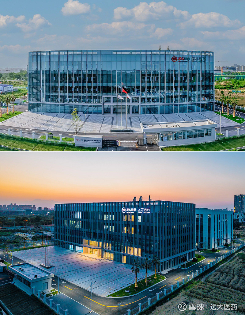 智翔金泰GR1803附条件上市申请已获受理 商业化拼图加速浮现