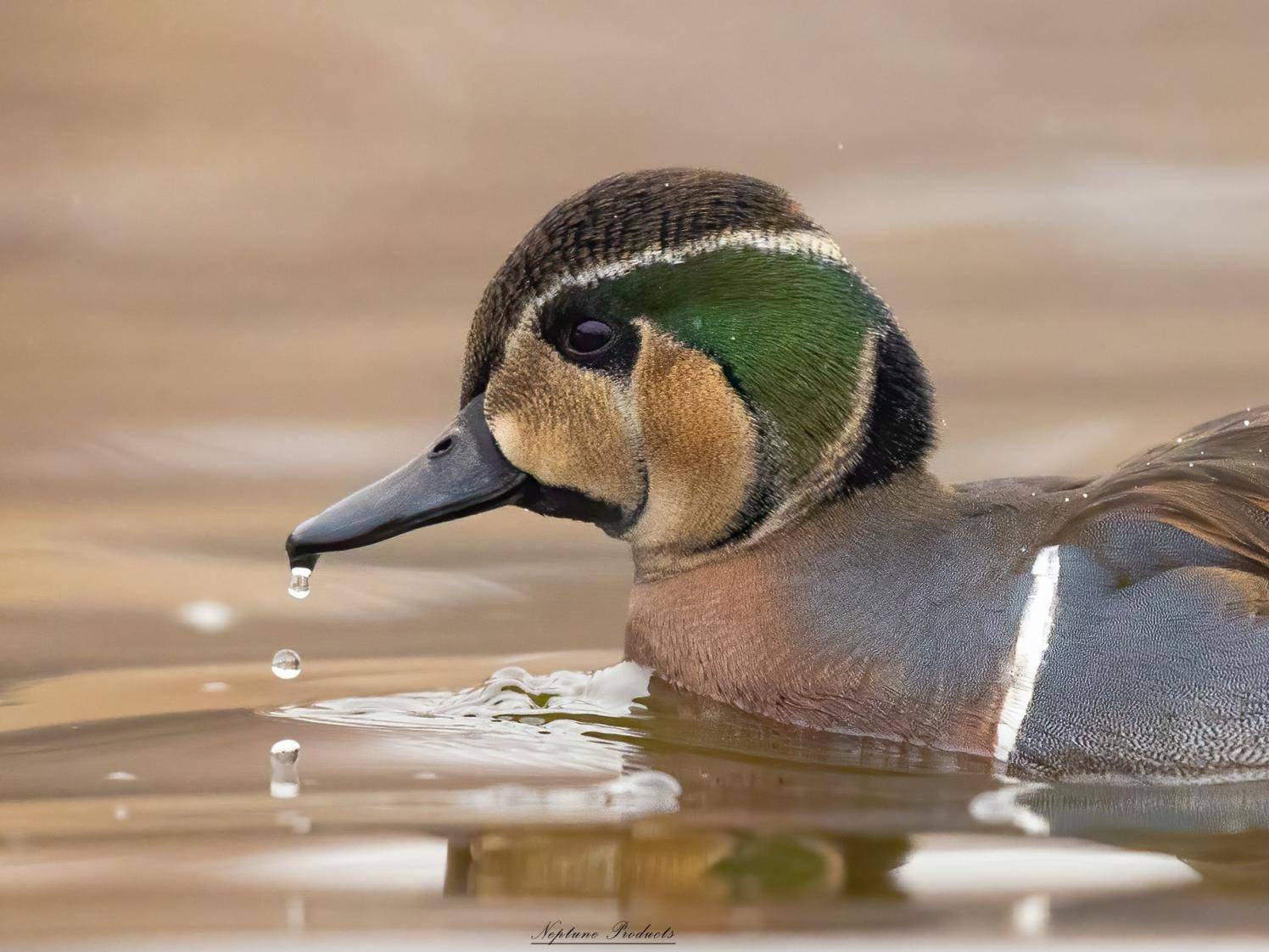立方风控鸟·早报(2月27日)