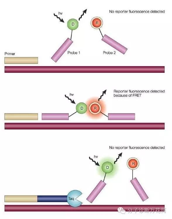 义翘神州获得发明专利授权：“一种用于检测多种诺达病毒的qPCR引物探针组、检测方法及应用”
