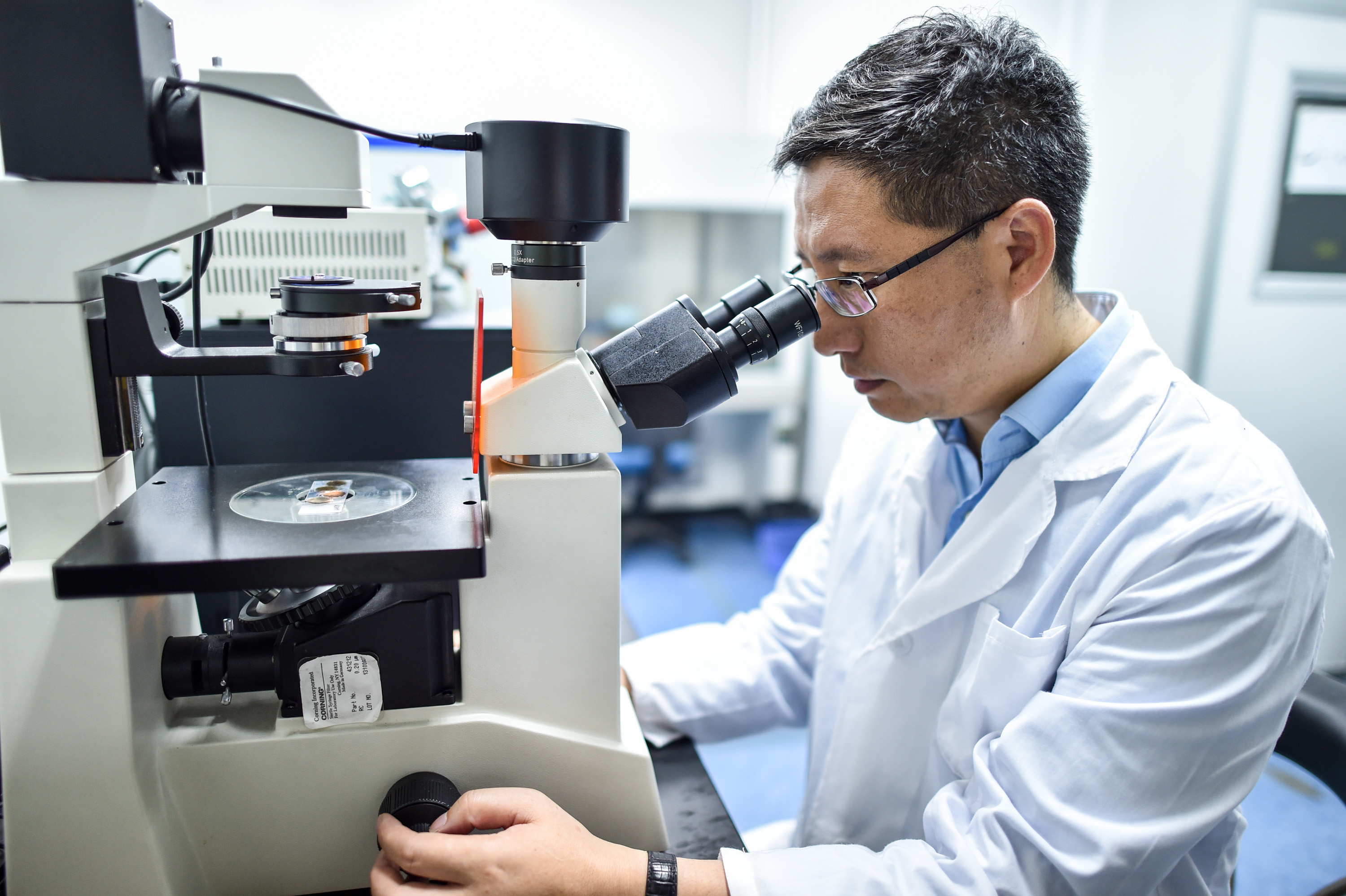 生物游动机制为研发给药机器人提供新思路