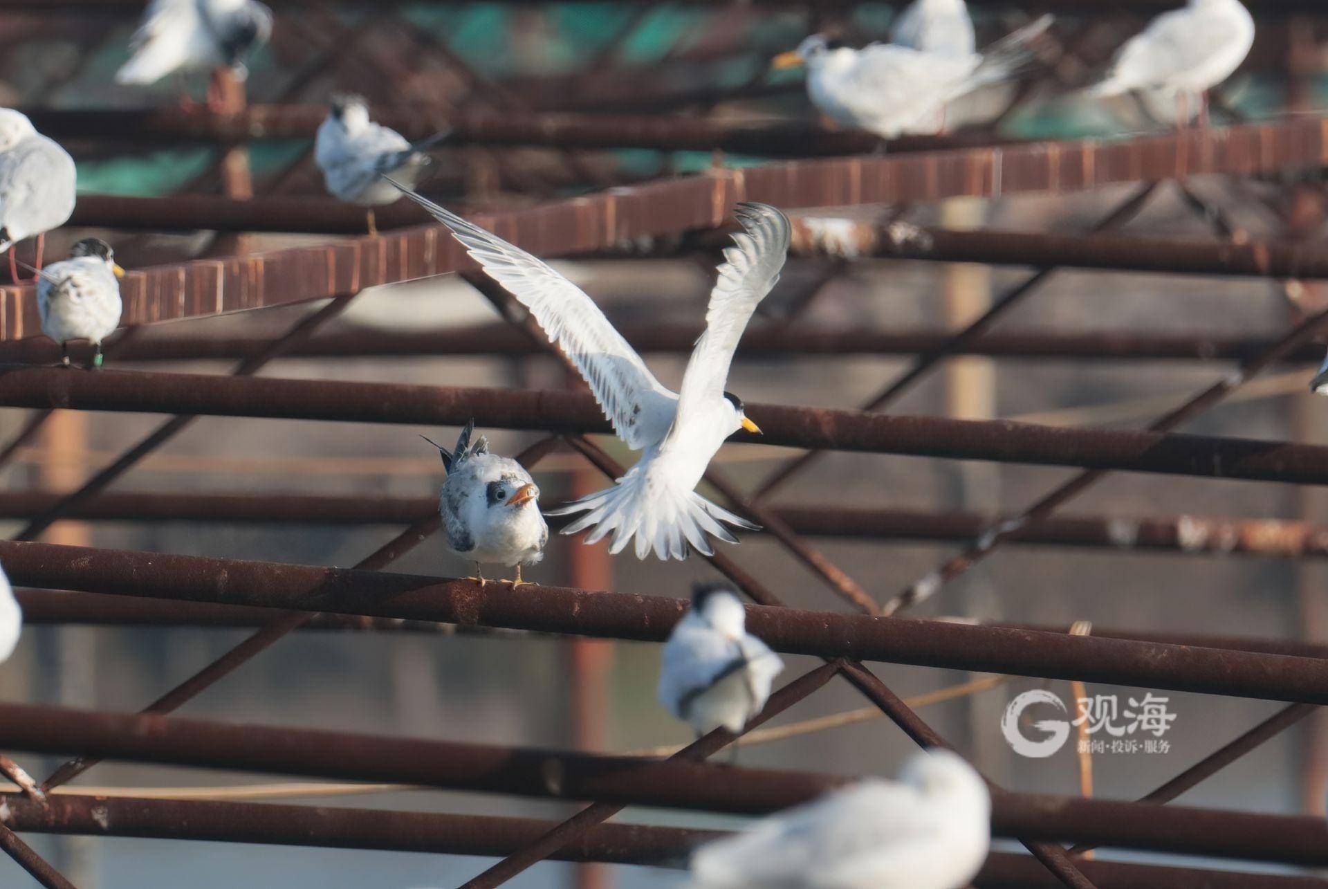 立方风控鸟·早报（3月14日）