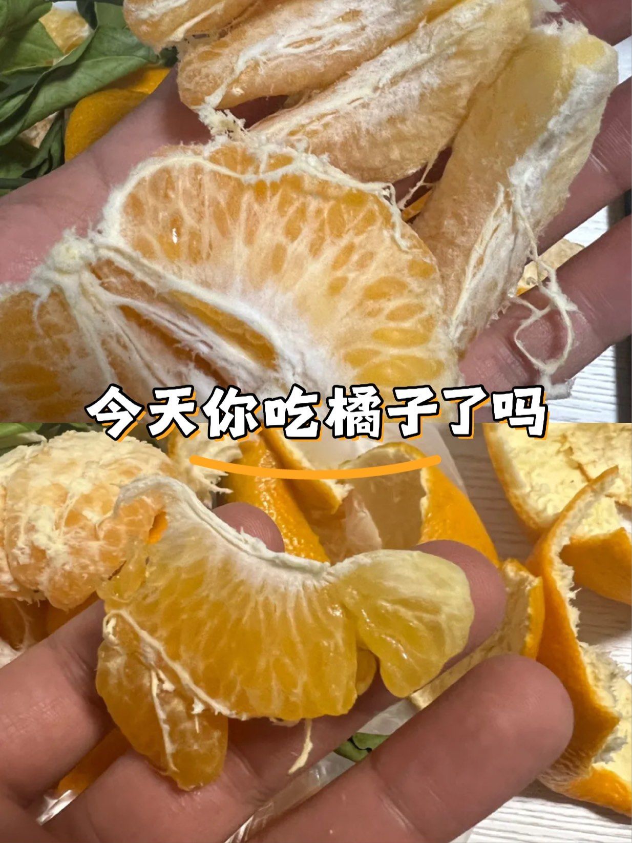 百果园BLOF技术赋能蒲江耙耙柑升级 乡村振兴发展新范式再添案例