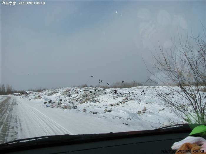 “24东北C2”将于3月23日付息