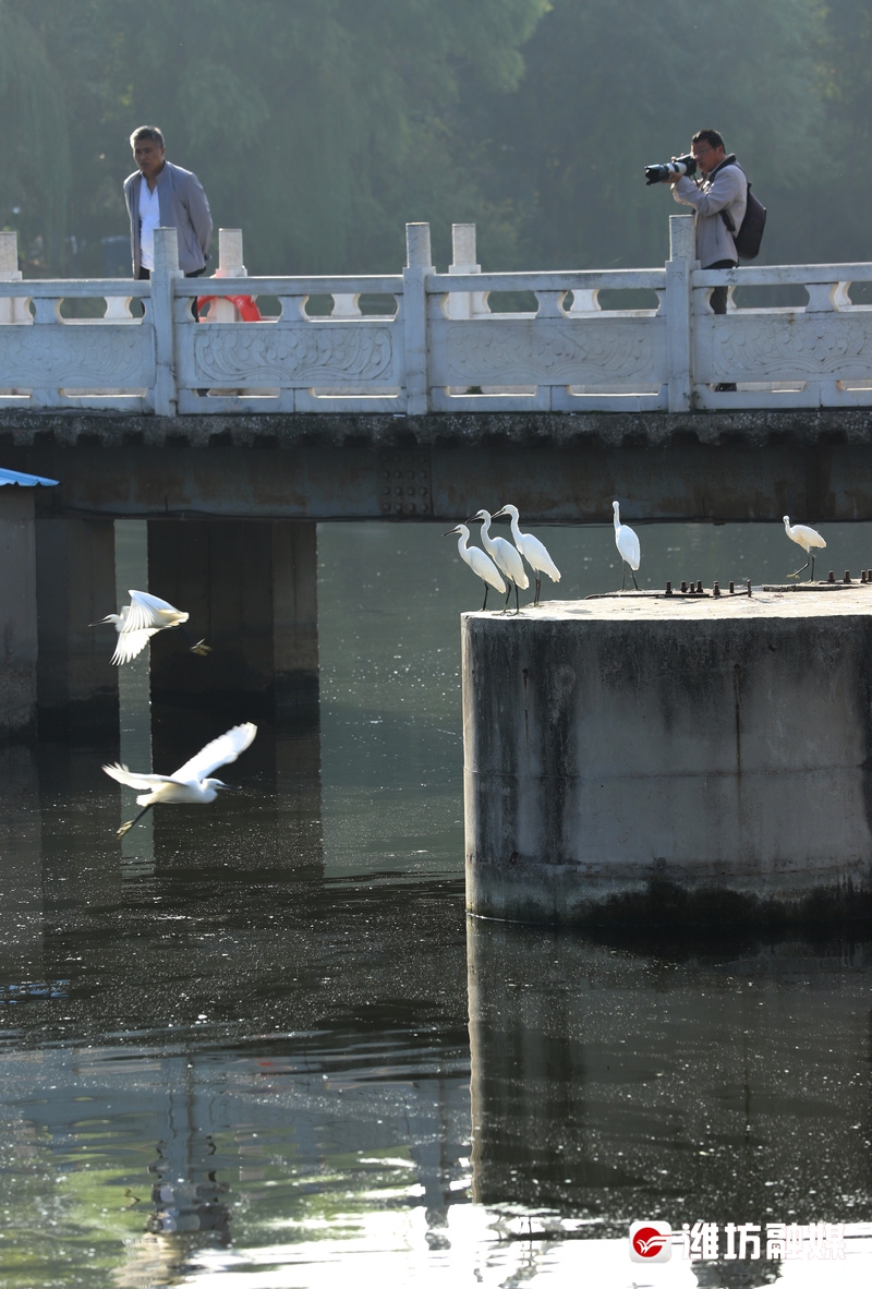 立方风控鸟·晚报（3月26日）