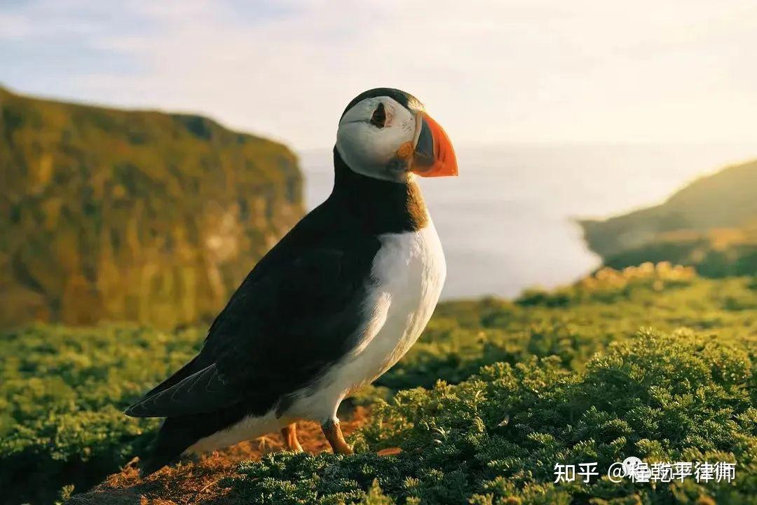 立方风控鸟·晚报（3月26日）