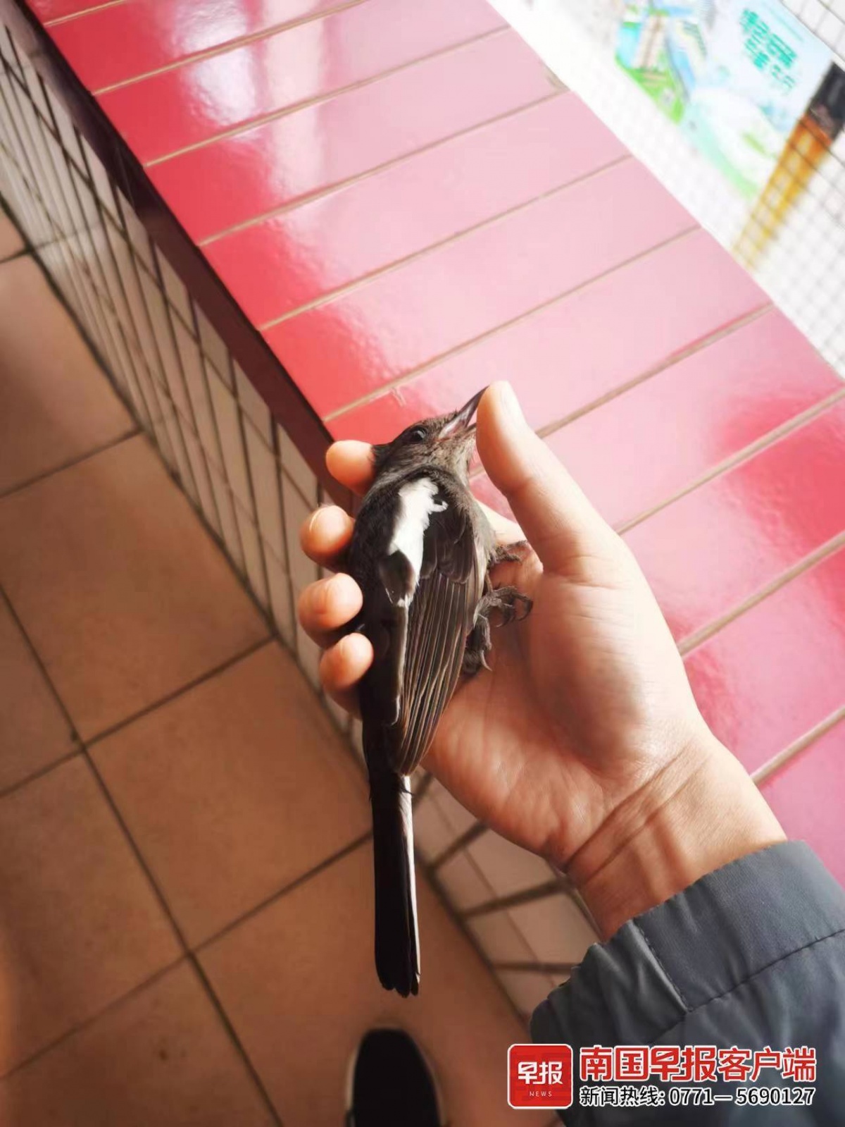 立方风控鸟·早报（3月30日）