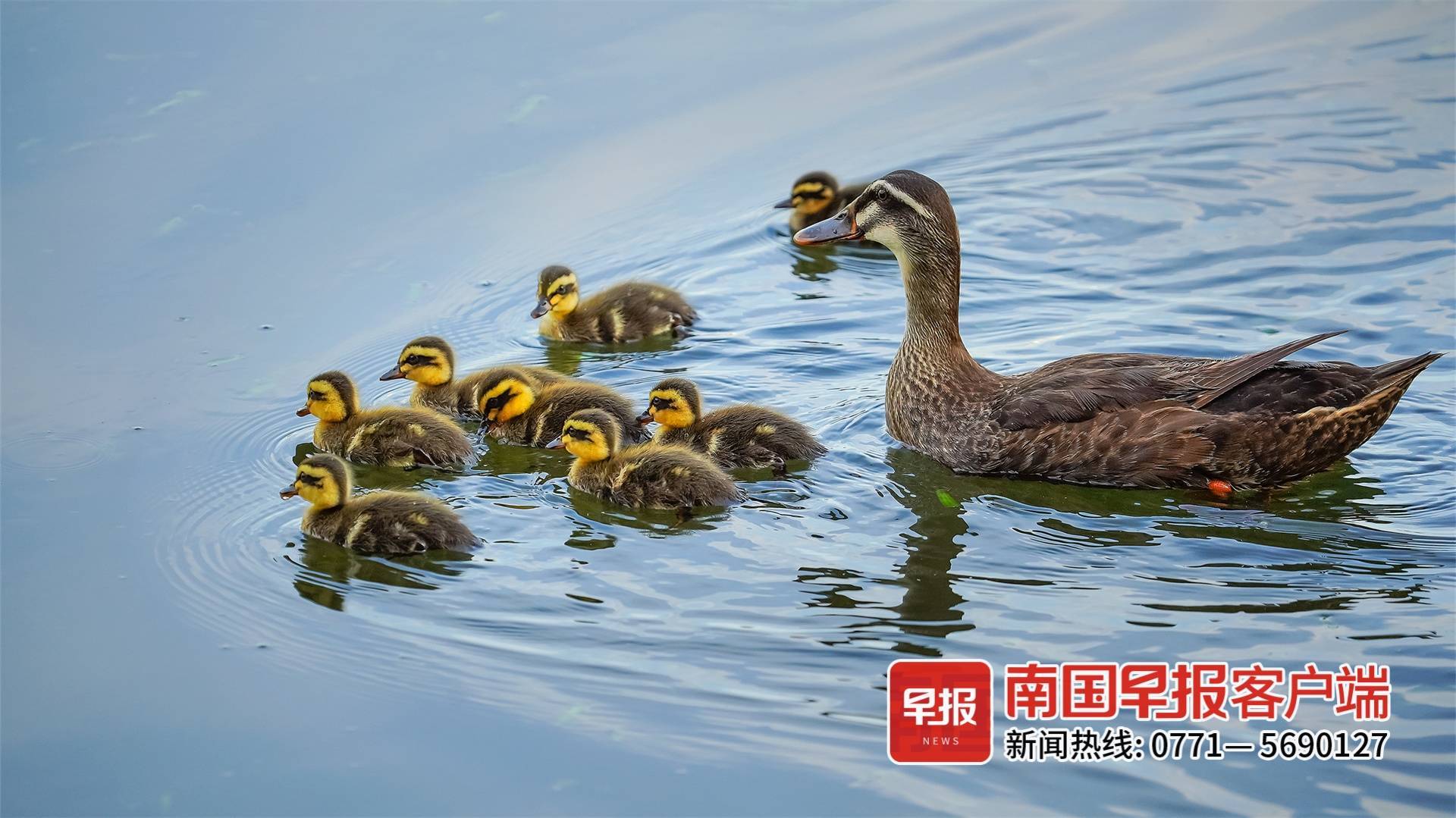 立方风控鸟·早报（3月30日）