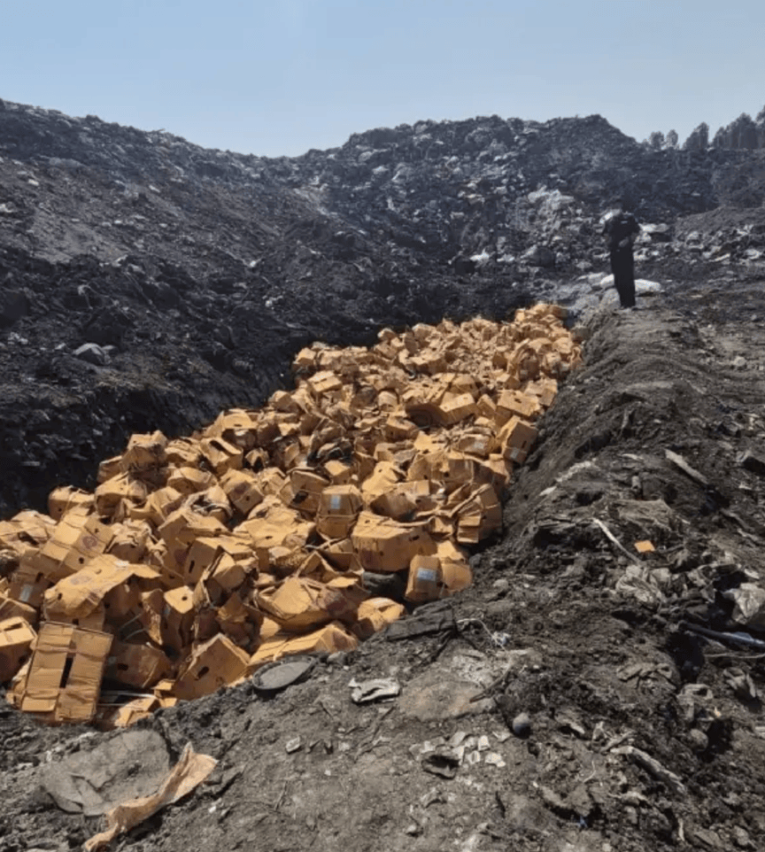 百龙创园：7.48亿可转债方案调整 泰国工厂项目拆分为二