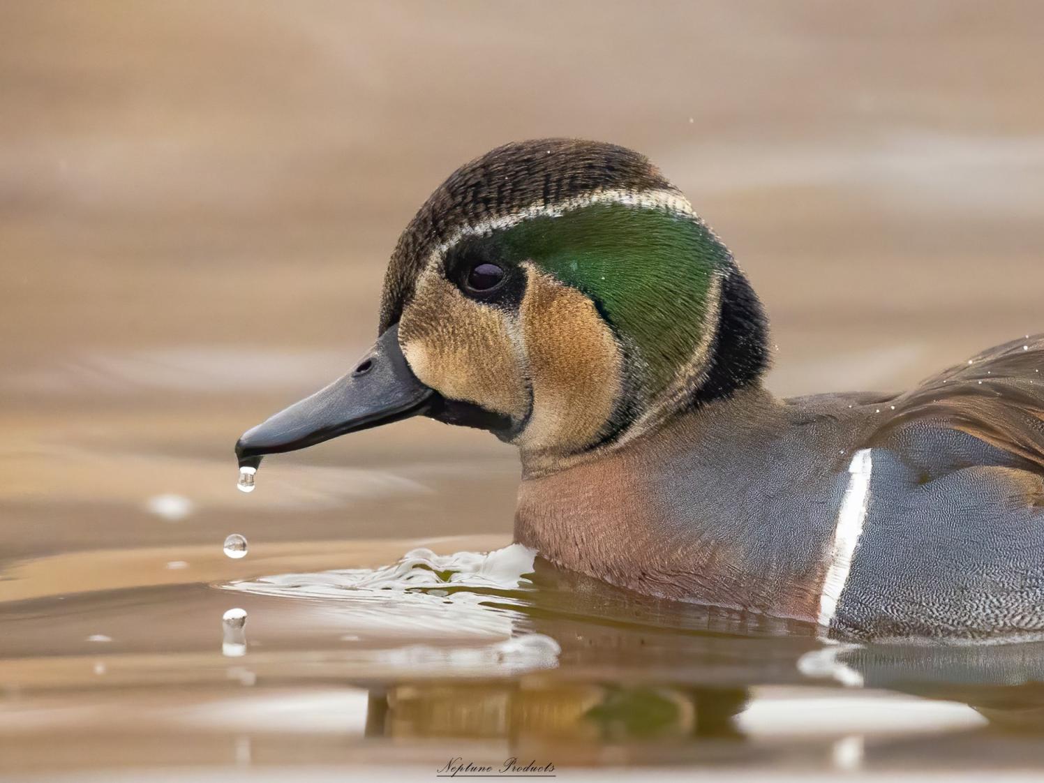 立方风控鸟·早报(4月4日)