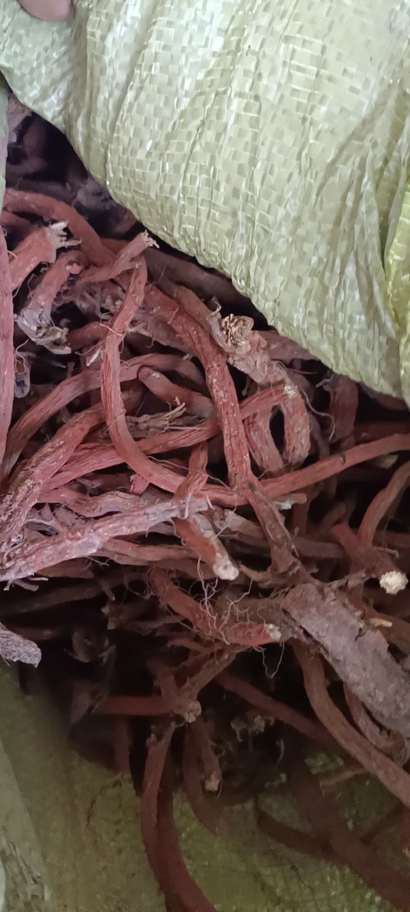 天士力获得发明专利授权:“一种鲜丹参的加工干燥方法”