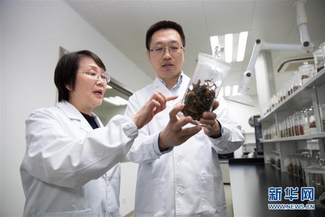 我国科学家找到一个潜在的阿尔茨海默病“干预开关”