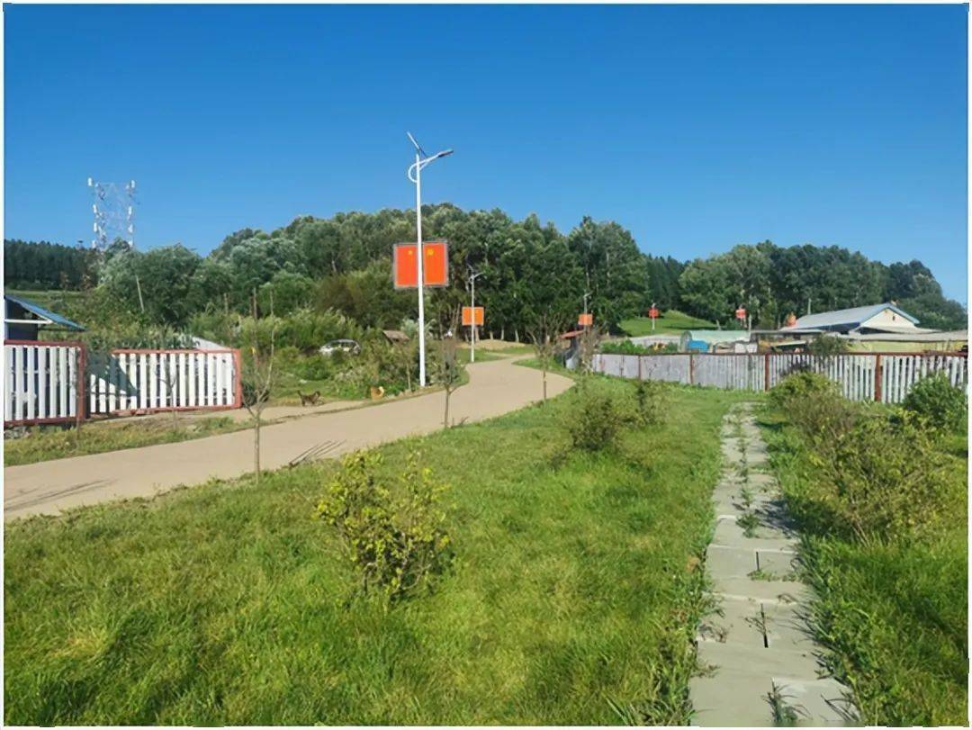 阳光财险总经理助理、总精算师冯雪隐：为全面推进乡村振兴、建设农业强国贡献更多阳光力量