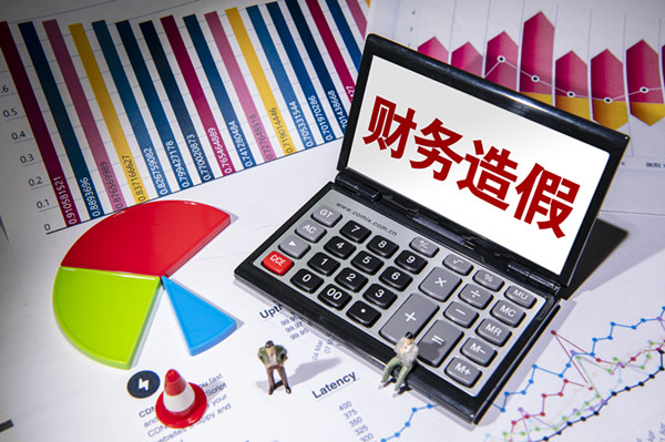 “惩防治”并举 维护资本市场行稳致远