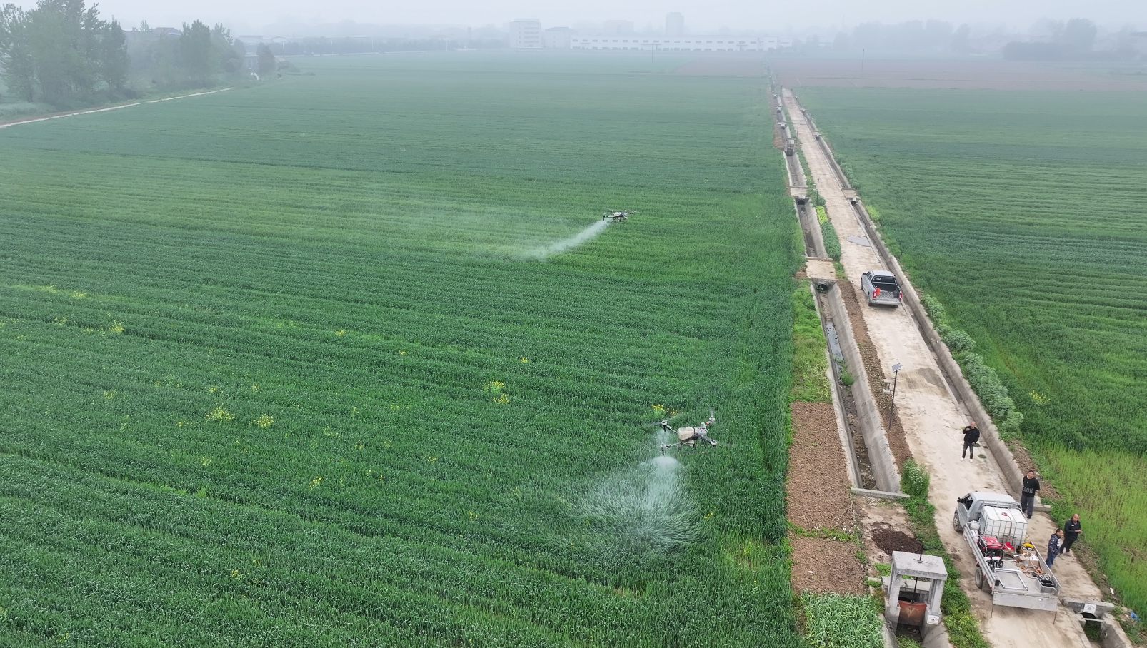 水肥机器人助力春管保丰收 全国现存机器人相关企业超108万家