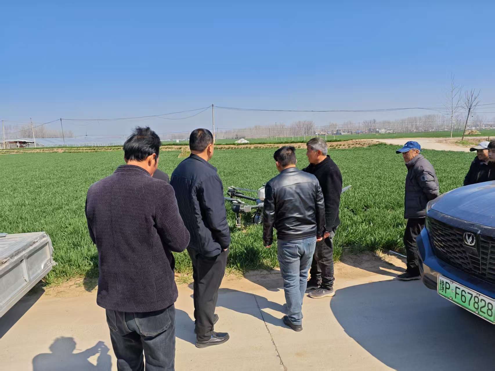 无人机“飞”进麦田助春管 现存相关企业超3.6万家