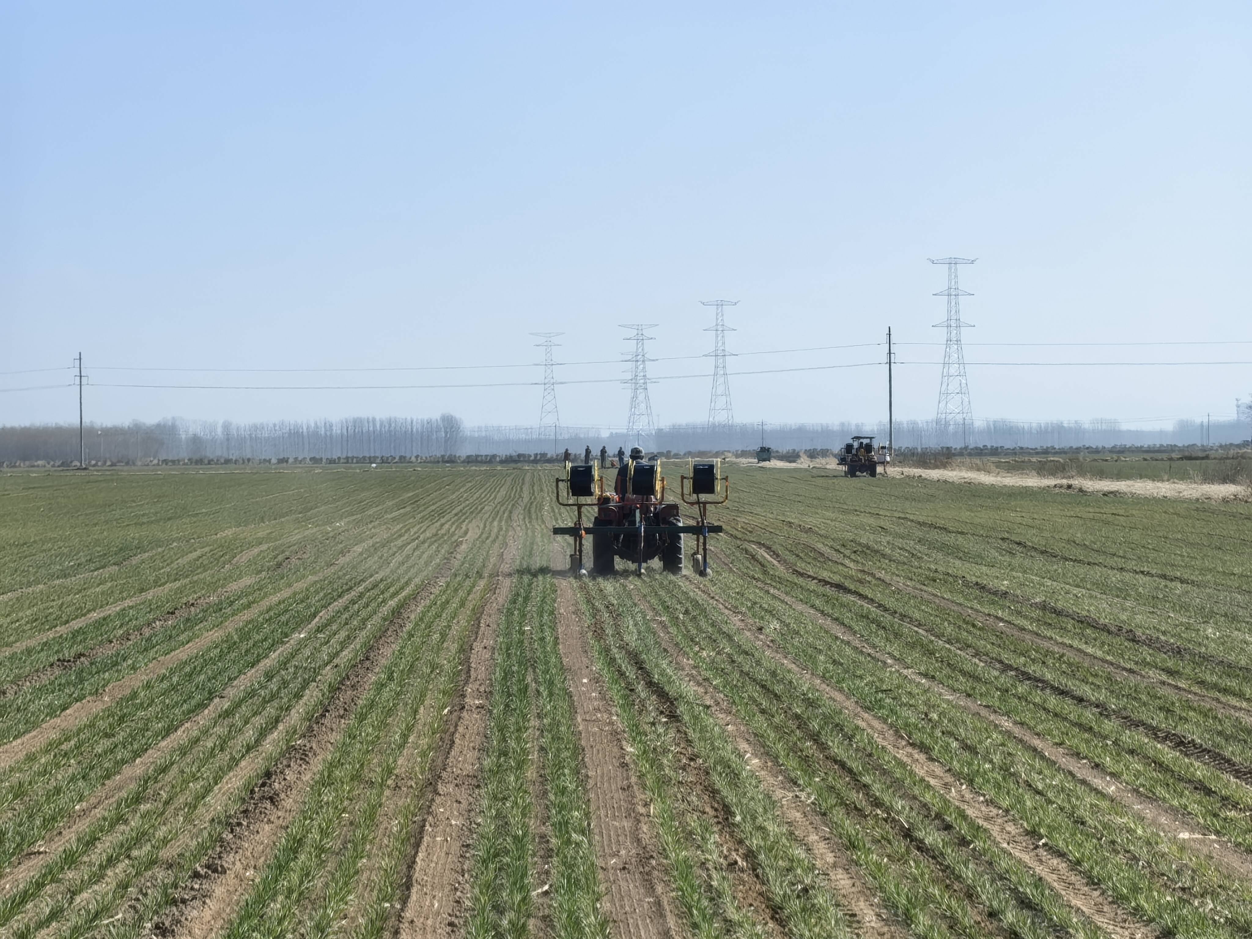 无人机“飞”进麦田助春管 现存相关企业超3.6万家