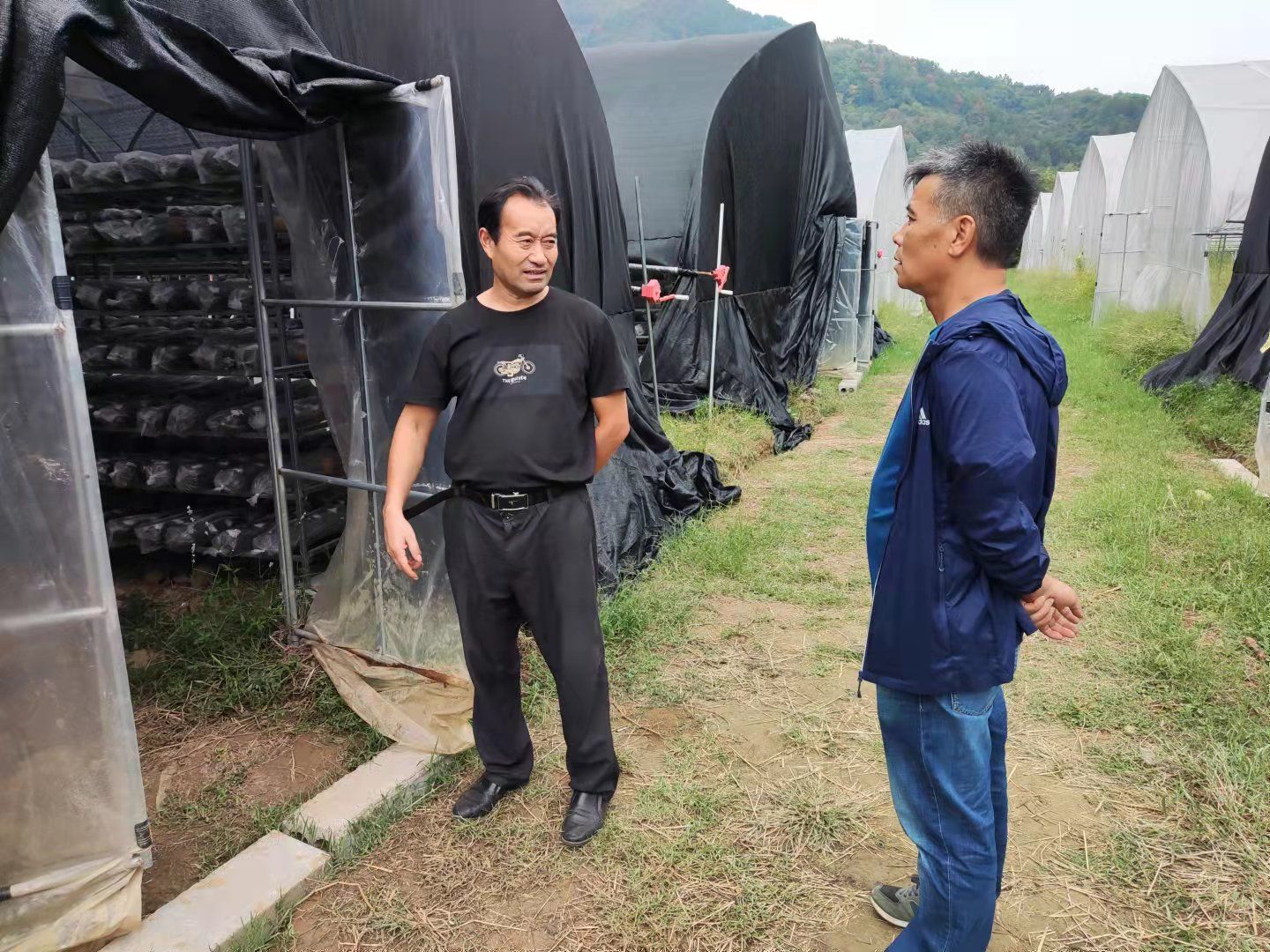 远东传动:已累计收到土地收储补偿款11000万元