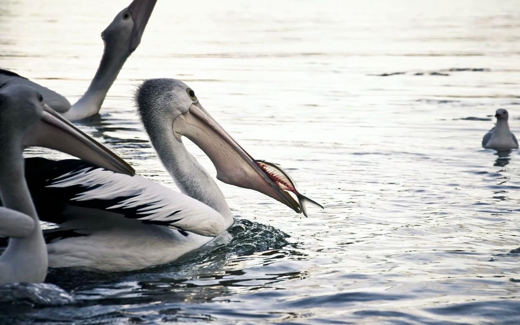 立方风控鸟·晚报（4月29日）