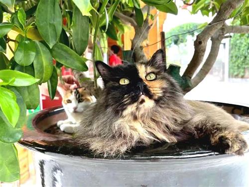 立方风控鸟·晚报（4月29日）