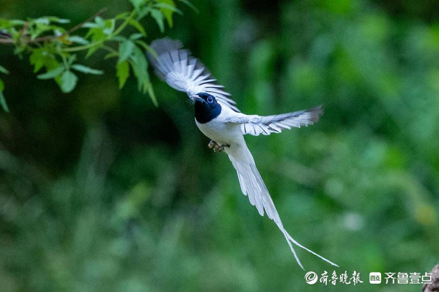 立方风控鸟·晚报（5月8日）