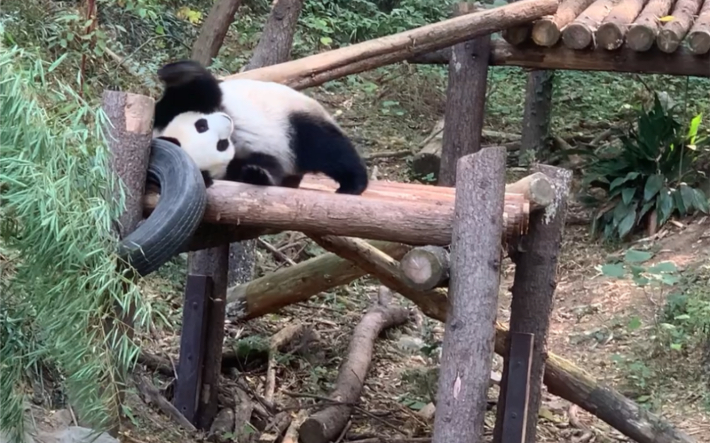 南京熊猫获得发明专利授权:“一种翻转合拢设备”