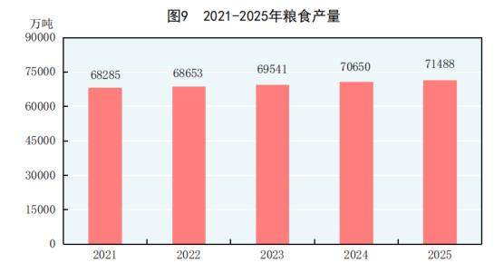 塞统计局公布2025年财政盈余情况