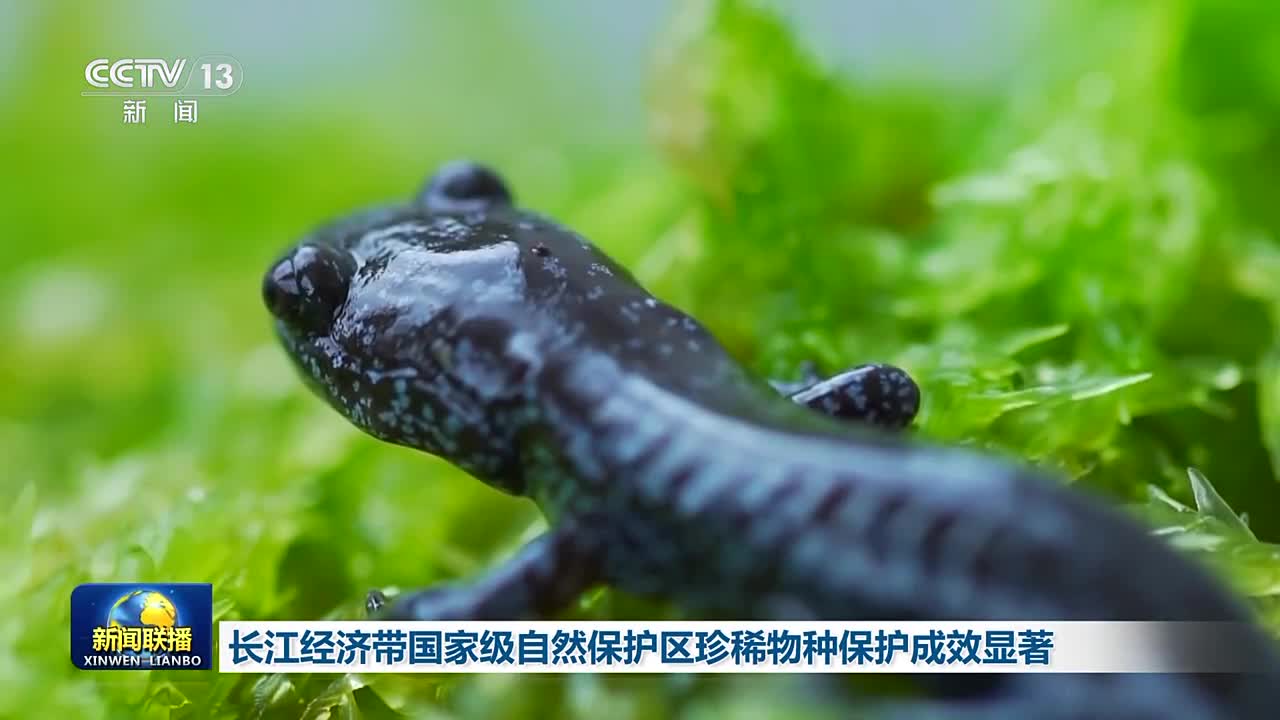 中国三峡集团:三峡库区特有珍稀植物迁地保护成活率超九成