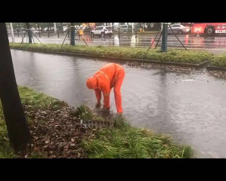 科画丨暴雨来袭 谨慎出行