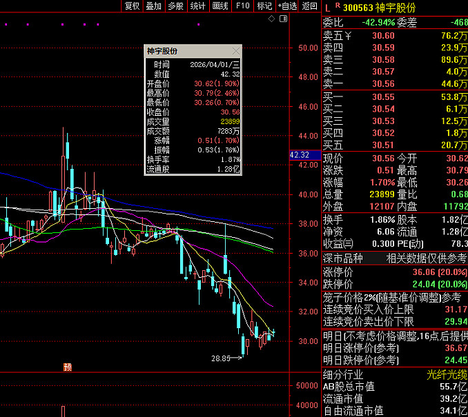 森麒麟:关于董事会提议向下修正可转换公司债券转股价格的公告